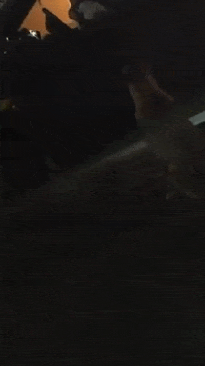 400_714 竖版 竖屏