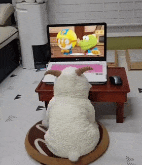 狗子看电视上瘾了该怎么办?