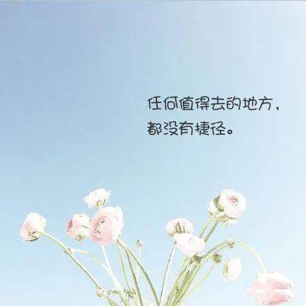 f5e1c62750b64558a5385b7121110144.jpeg