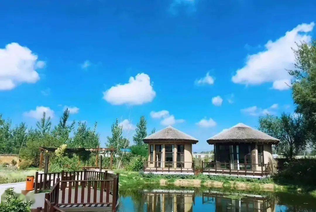 玩转盘锦|这个夏天,在盘锦必做的几件事!_度假
