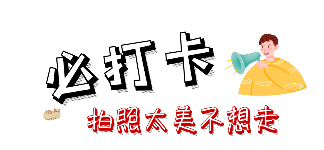 来晋江sm探奇科学乐园,一起打卡"网红地!限量暑假特价门票免票送