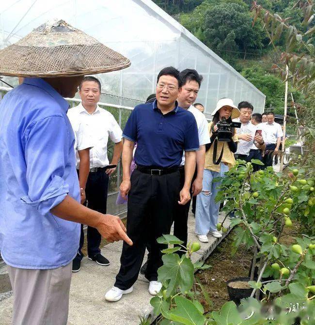 (来源:娄底发布) 6月29日下午,娄底市委副书记华学健到冷水江市禾青镇