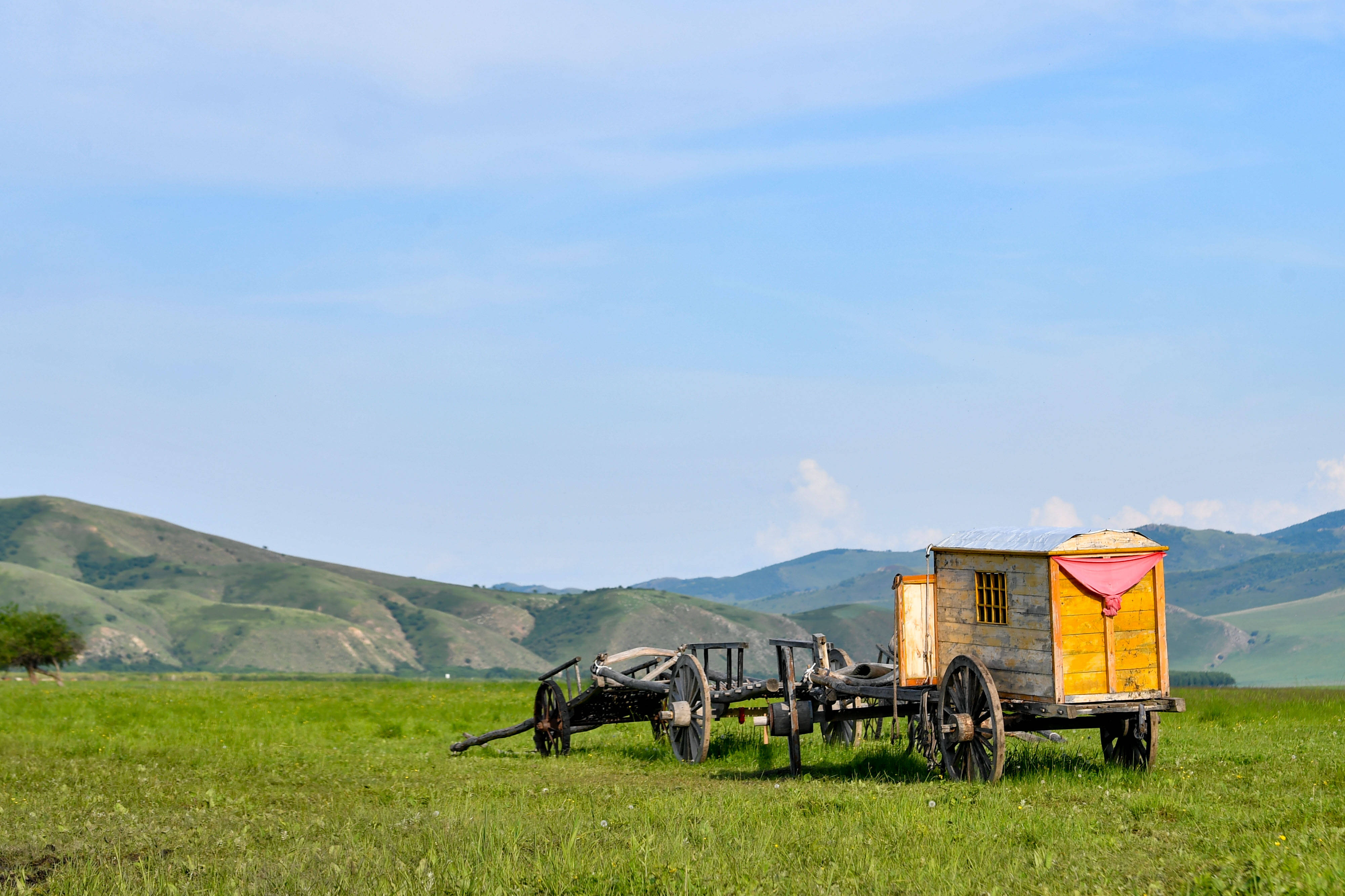 乌兰毛都草原上的勒勒车(7月1日摄).