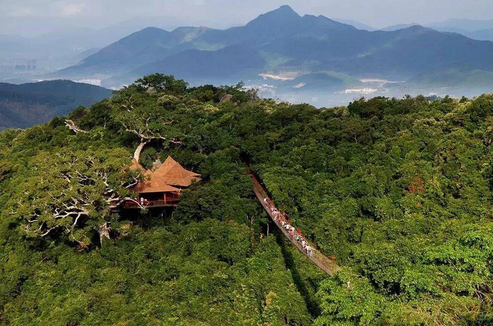 一起去大三亚旅游经济圈爬山吗帮你拍照的那种