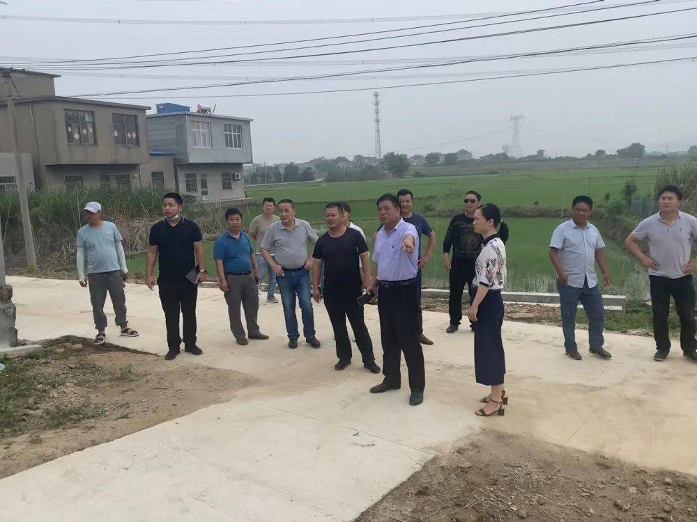 巢湖市扶贫办对坝镇村庄基础设施提升项目进行验收