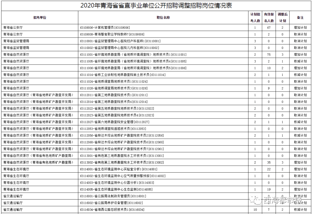 2020年出生人口为何不公布_2020年人口普查图片(2)