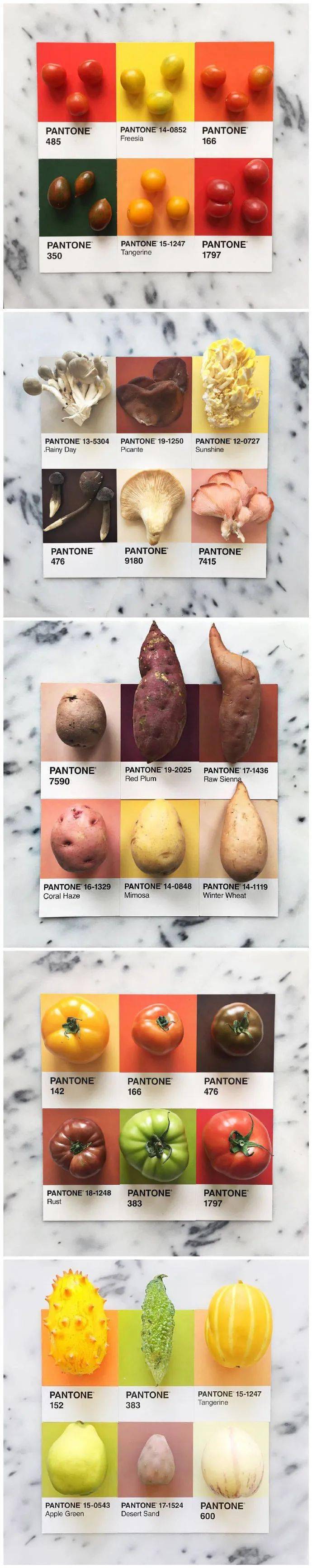 创意|是这样没错！创意 | 食物的色卡