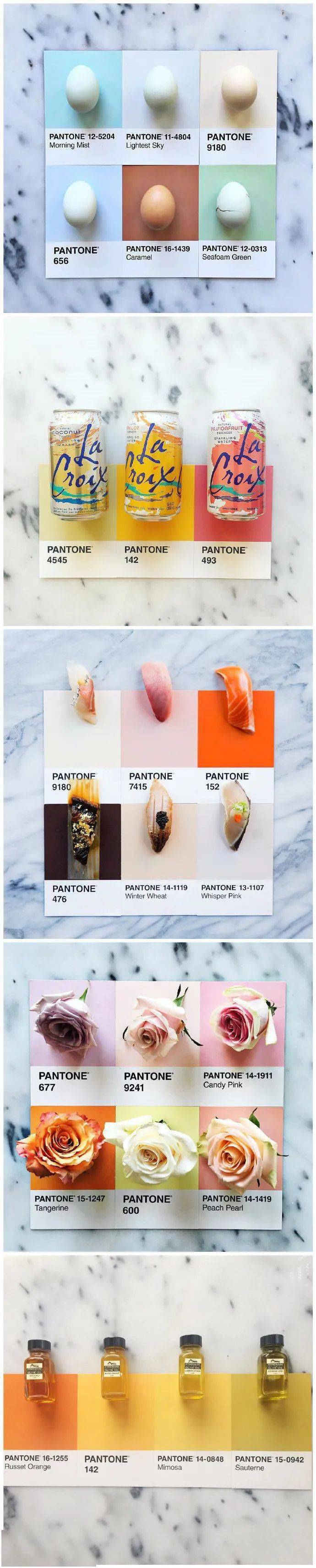 创意|是这样没错！创意 | 食物的色卡