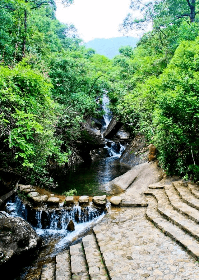 武夷山龙川大峡谷山涧美景