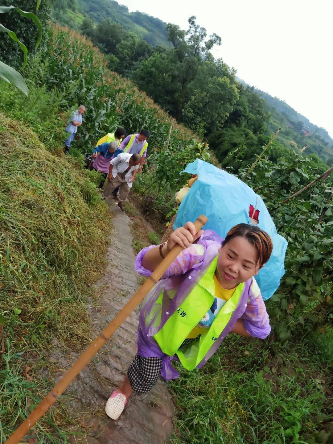 重庆江津区2020各镇GDp是多少_2020年东莞各镇街gdp(2)