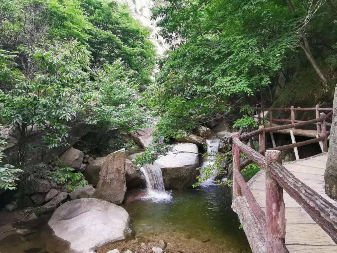 木札岭景区7月7日-9日面向全国游客免门票!