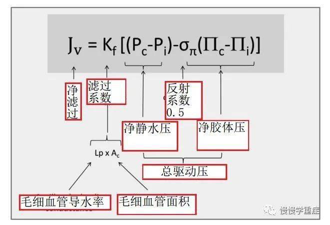 为什么血管渗透压的原理_血管痣图片