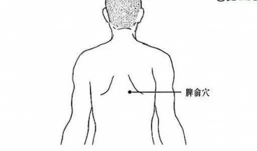 脾俞穴出自  《灵柩》