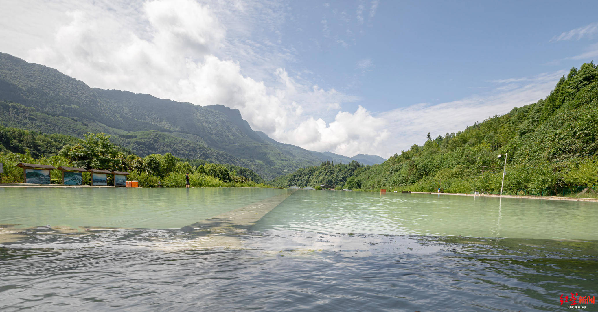 养殖业|“三文鱼效应”下的虹鳟养殖场：大鱼出不了塘，小鱼换不了“房”