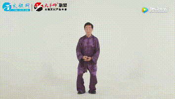 陈氏太极拳精要十八式动图全解,难得一见的版本!
