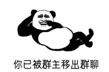 我为什么不在群里面
