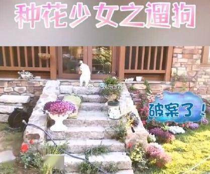 苗苗晒孕期视频,身材依旧纤瘦,新婚豪宅曝光