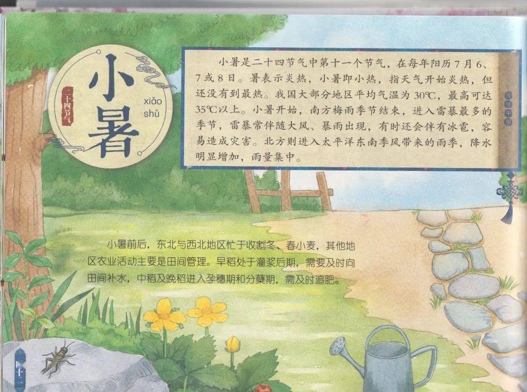 小禾苗绘悦读|传统中国24节气绘本故事--《小暑》
