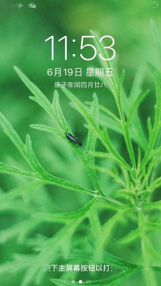 临夏这组"最夏天"的壁纸,全部都要用一遍!_屏保