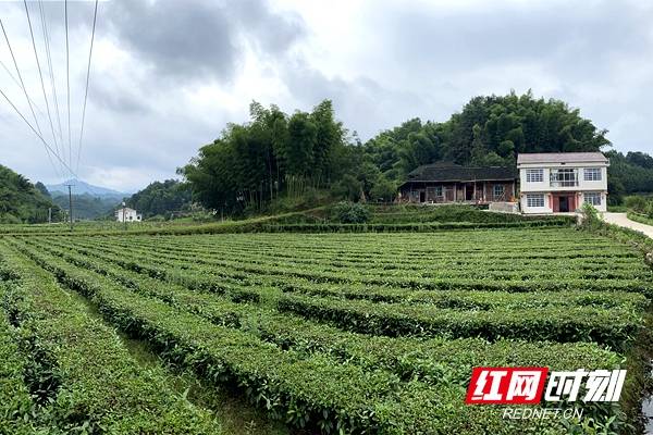 湖塘镇农村人口_农村别墅