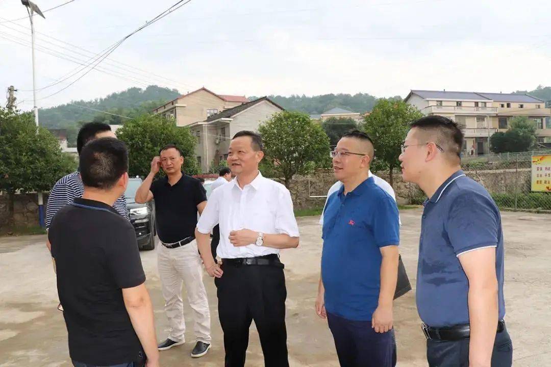 绿之韵胡国安陪同湖南省政协副主席胡旭晟一行赴娄底涟源调研