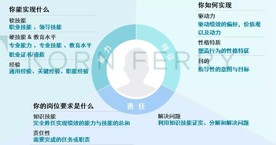 数字化时代,hr如何构建人才管理的数字化能力