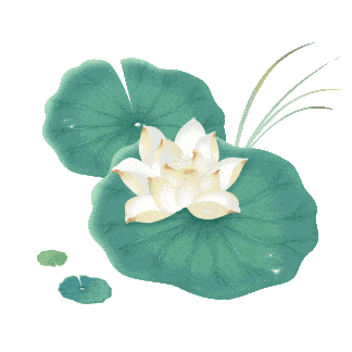 七月夏风拂过 吹醒了美丽乡村里的一池池荷花 亭亭玉立的荷叶 或娇艳