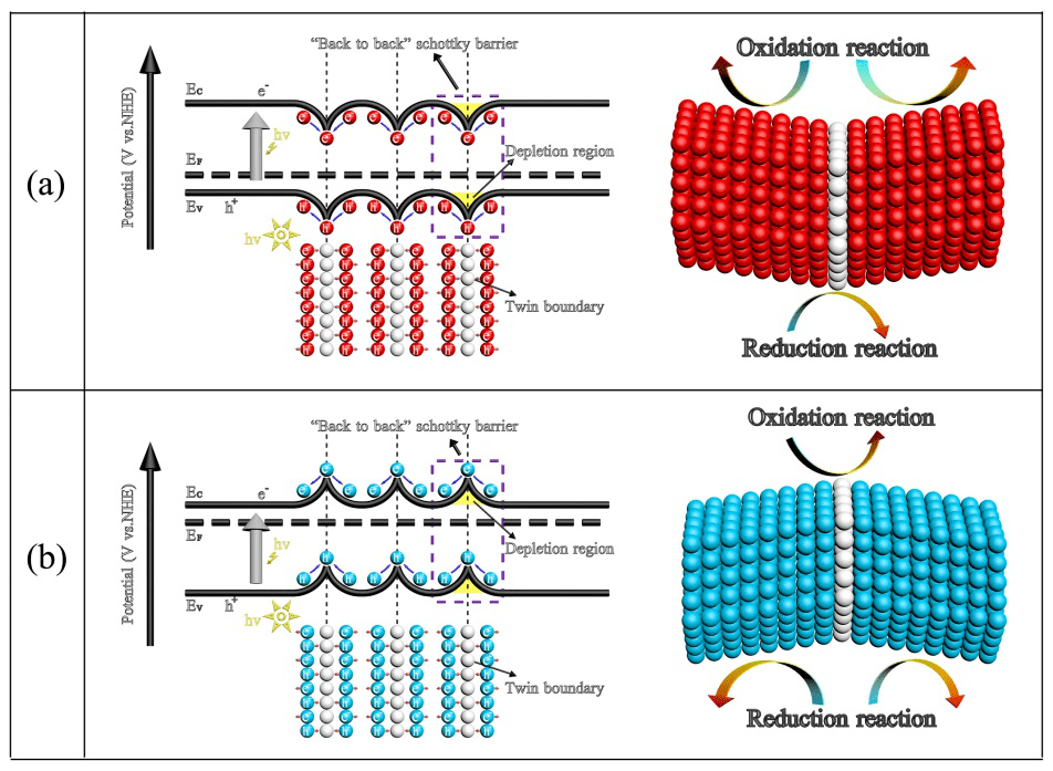 不同类型半导体的孪晶结构,能带结构及光催化机理示意图.