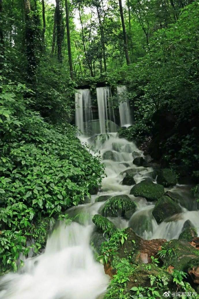 天台山|炎炎夏日，到天台山清凉玩水high起
