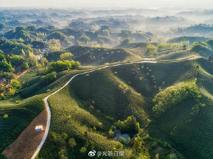 河南|“老家河南”让人刮目相看