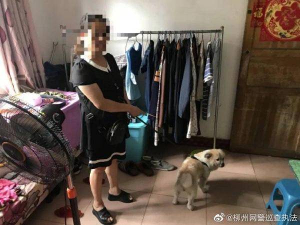 柳州一女子遛狗未牵领，宠物狗咬伤人被罚款又