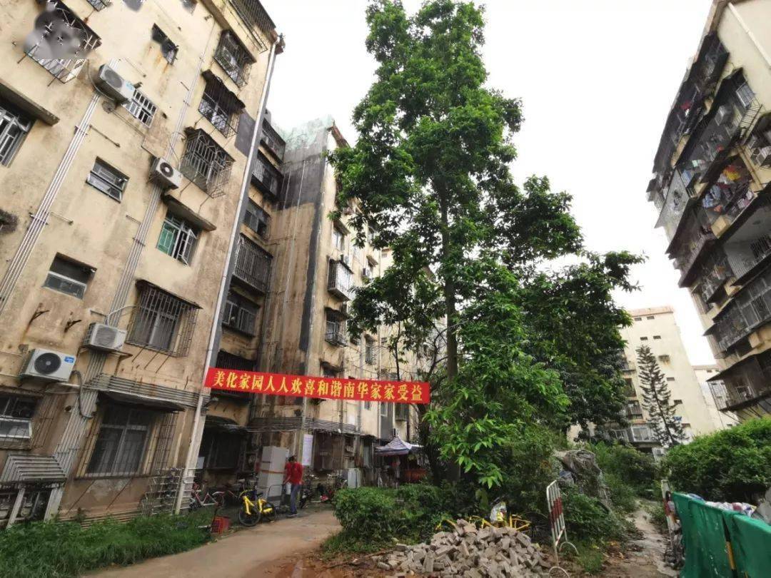 “深圳最大棚改小区”正式开拆，补偿方案曝光！现场画面震撼_南华村