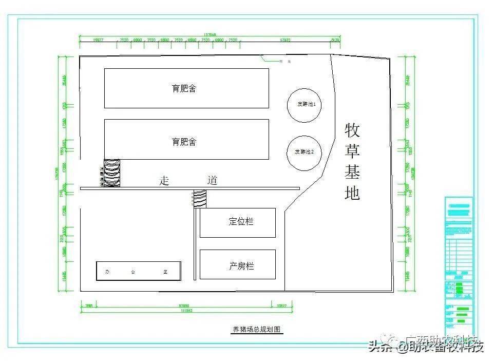 【实用】新建一个年出栏5000头以内的猪场详细操作步骤,当前哪种模式