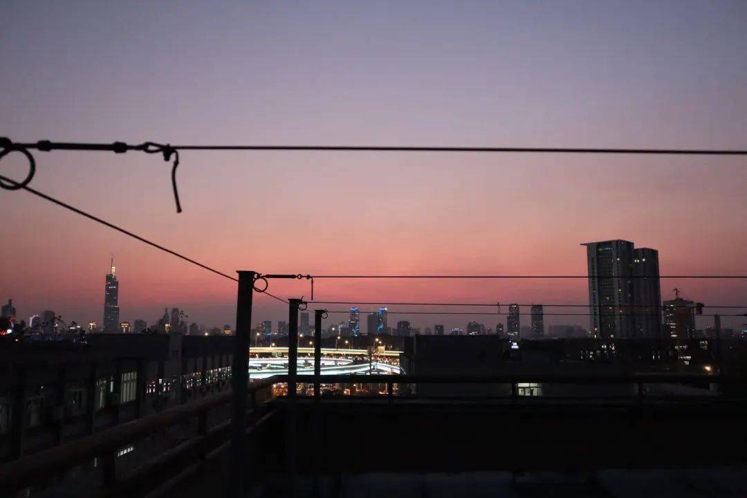 南林特|每日一杯夏日限定,林间韵味你get到了吗?