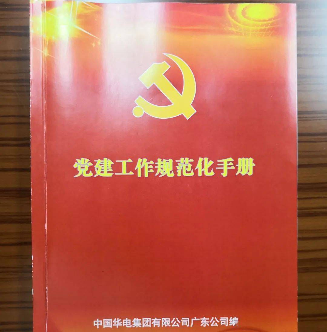 抓好党的组织体系建设丨广东公司党委
