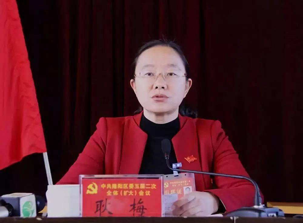 被告人耿梅利用担任昌宁县县长,县委书记,隆阳区委书记,保山市副市长