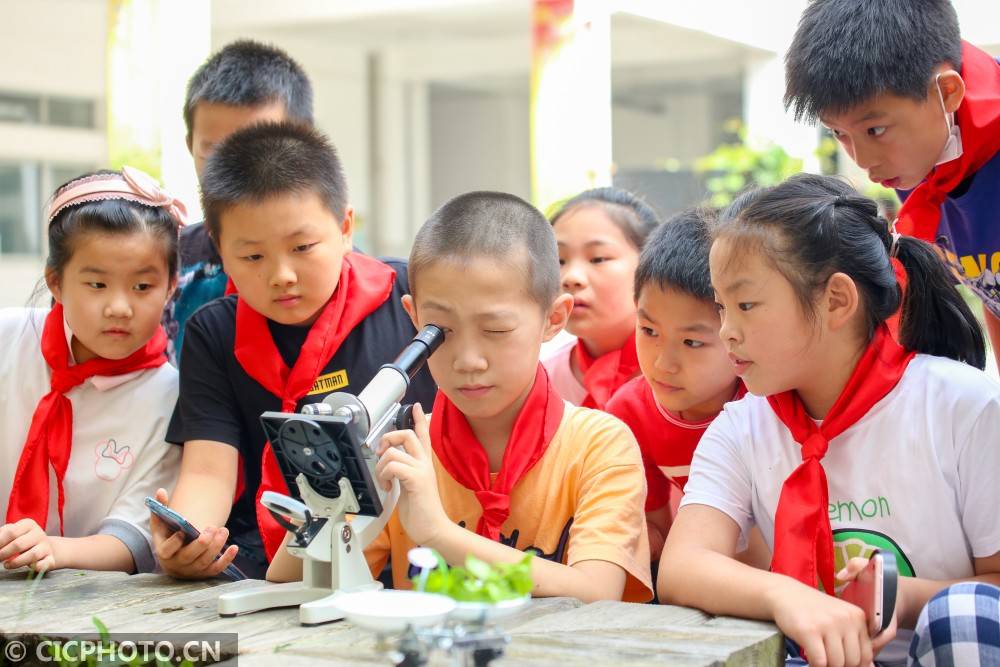 如皋|江苏如皋：中草药“种”进小学校园