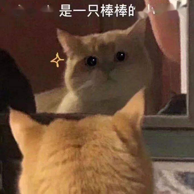 df7edb2cf0bf4c50babc56a8e5d5072c.jpeg