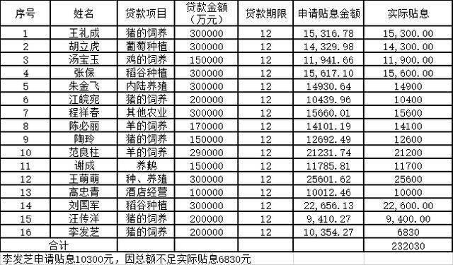 小额贷款汇总表 1 1 主办|滁州共青团 初审|田增清 复核|徐映琤