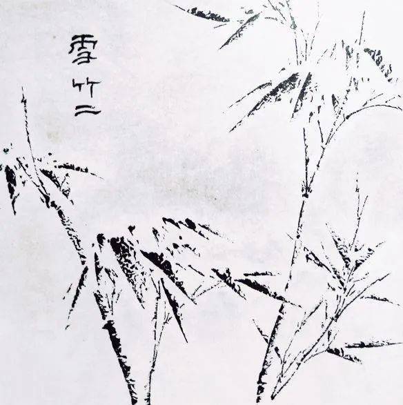 竹子简谱画_竹子画(3)