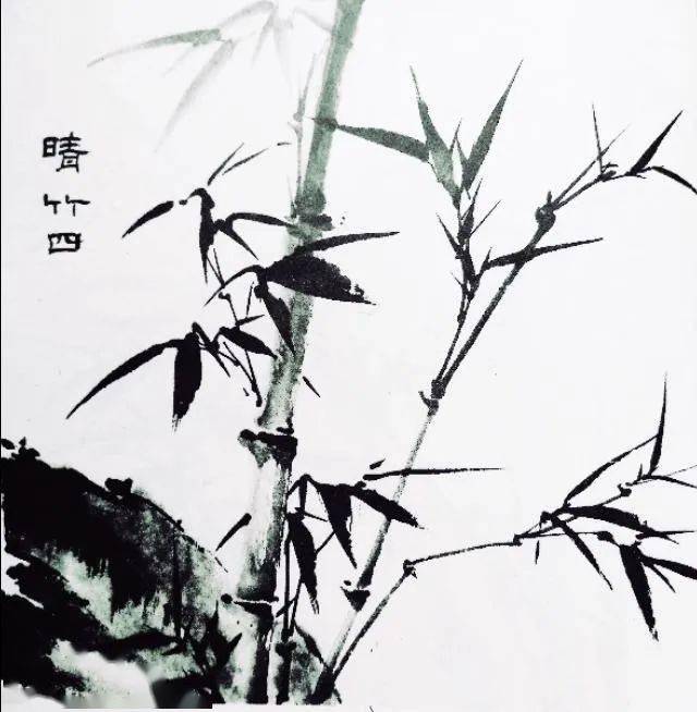 一本优秀的竹谱,送给您!_申石伽