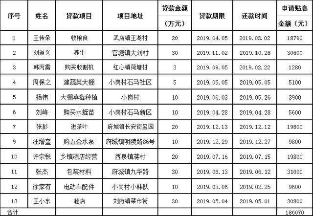 小额贷款汇总表 1 1 主办|滁州共青团 初审|田增清 复核|徐映琤