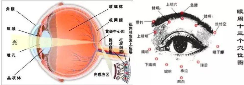 眼罩|明亮双眸!新一代冰感眼罩,冰热双温SPA,赶走黑眼圈、红血丝!