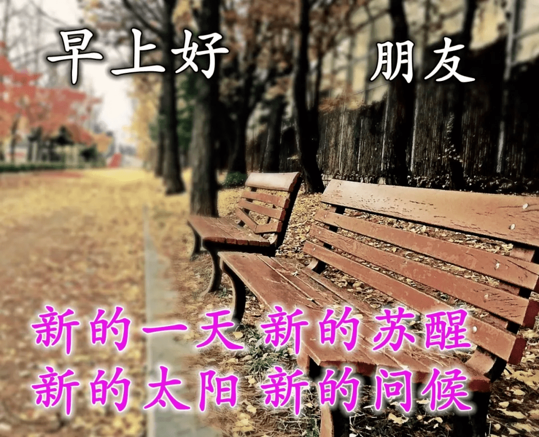 大家早上好祝福问候语图片大全,早上好图片带字句子2020