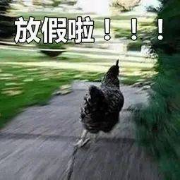 工作|放 假 通 知 ！