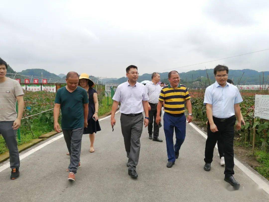 县委副书记韦贤康率队赴贵州学习考察