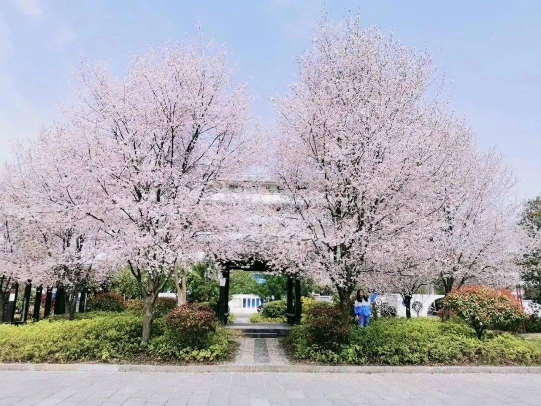 【龙山皇仓华鑫学校】2020年秋初一新生招生公告