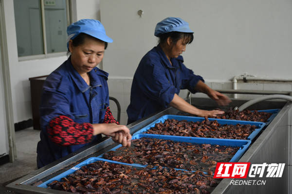 思诺思吃半片还是一片_品牌馆_医流商城分销服务和