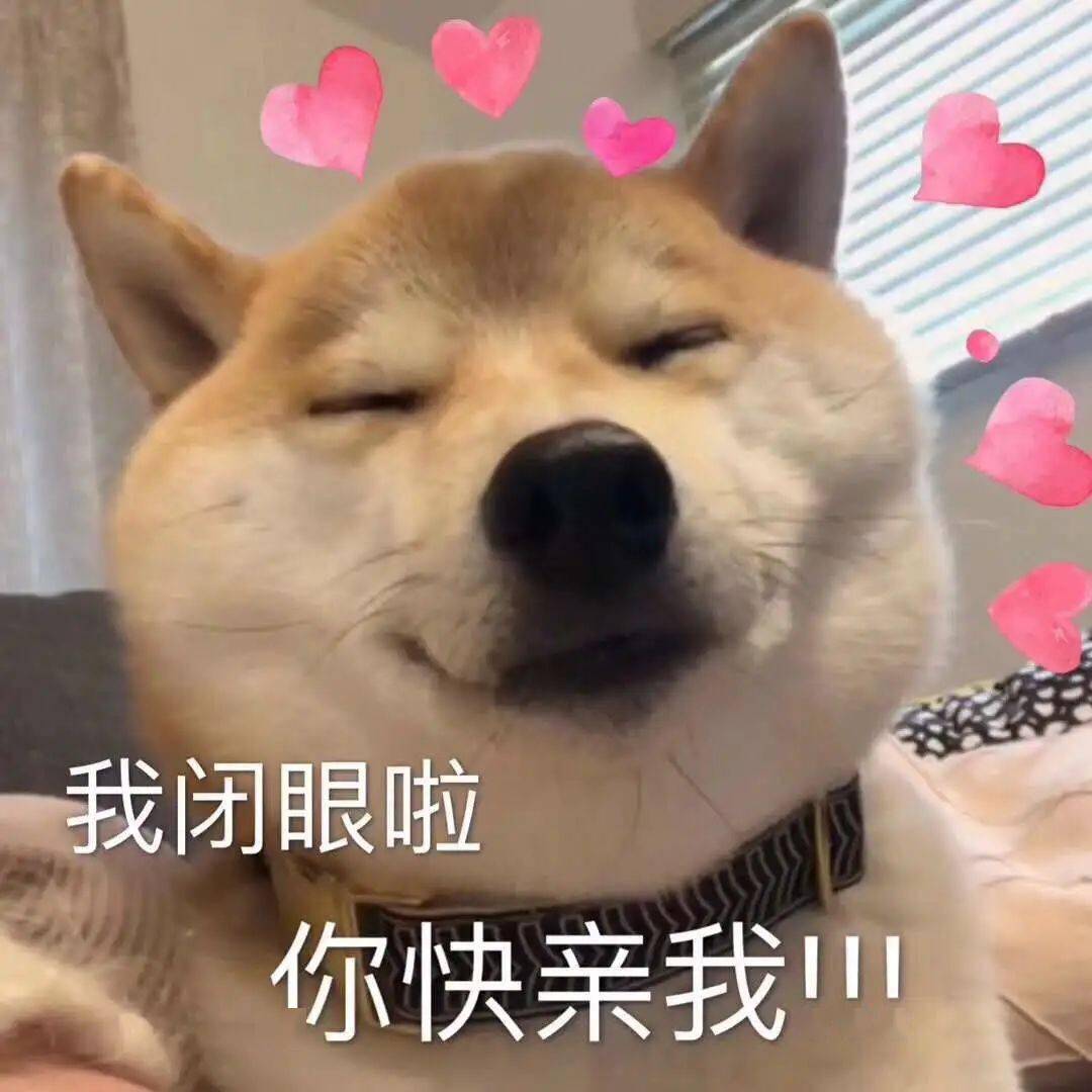 汪星人表情包第8期 | 孤独寂寞狗在线求撩!