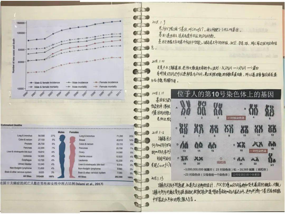 云南六年级小学生完成博士同等难度研究，疑似“学二代”涉嫌造假